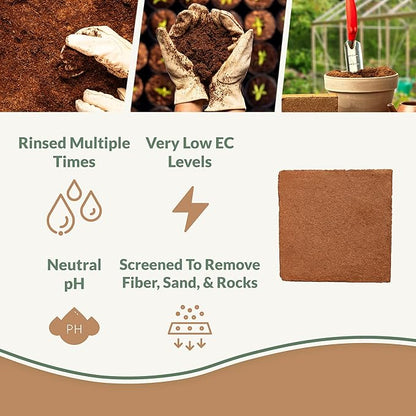 Buffered Coco Bliss (10lbs) - 100% Buffered Organic Coco Coir for Plants & Gardening - Cocopeat for Garden Soil, Seed Starter Soil, & Mulch - Organic Coconut Coir Brick - Coconut Fiber Potting Mix
