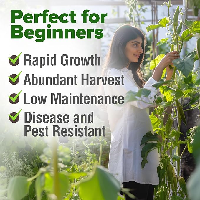 HOME GROWN 𝗨𝗦𝗔 𝗣𝗥𝗘𝗠𝗜𝗨𝗠 Clemson Spineless Okra Seeds 101+ 𝗡𝗢𝗡-𝗚𝗠𝗢 Heirloom Vegetable Seeds for Planting Easy to Grow Outdoor Summer Garden High Germination Rate (Abelmoschus esculentus)