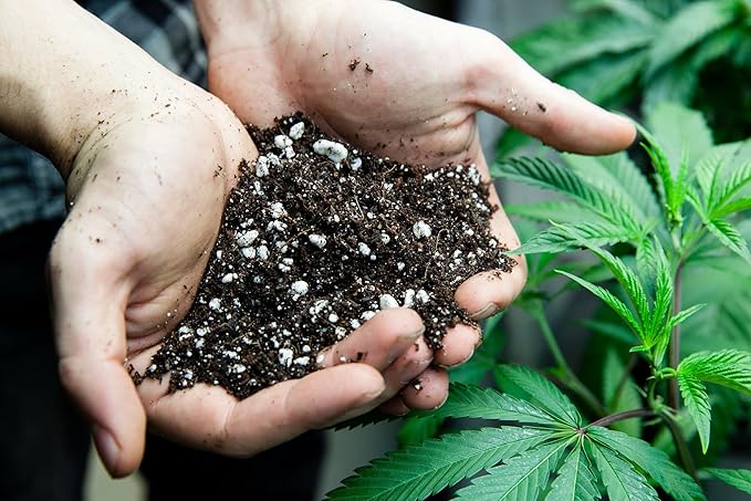 Gardenera Organic Autoflower Plants Potting Soil Mix - Perfect Balance of Nutrients, Drainage, and Aeration for Thriving Autoflower Plants- 10 Quart