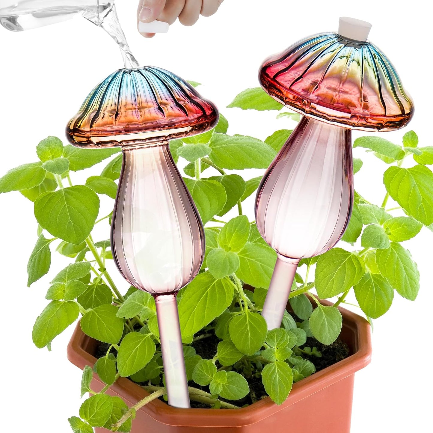 Plant Watering Globes Mushroom, Rainbow Gradient Color Plant Watering Devices, Self Watering Planter Insert, Self Watering Globes - Watering Bulbs for Indoor Plants for Travel Vacation (2 PCS)