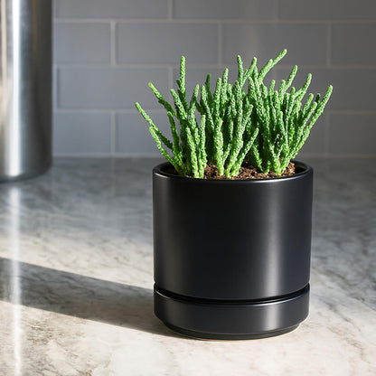 D'vine Dev 4.7 Inch & 6.5 Inch Ceramic Planter Pots for Plants with Drainage Hole and Saucer, Small Plant Pots Set, Black, 94-G-S-2