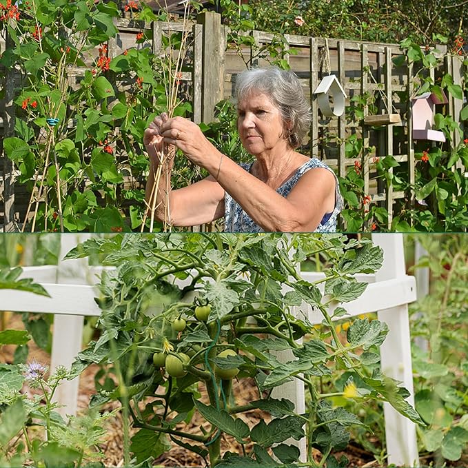 YDSL 100 Feet Soft Tie for Plants, 3 Pack Green Twist Garden Ties Gardening Supplies for Supporting Climbing Plants, Tomatoes, Vegetables, (Diameter - 2.5MM)