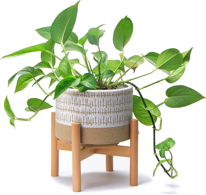 Kurrajong Farmhouse 7.25in Ceramic Planter with Bamboo Stand, Indoor Use, Caramel and White