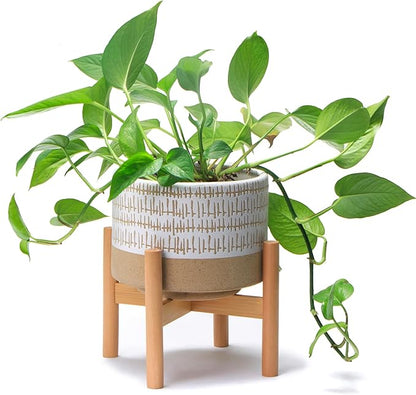 Kurrajong Farmhouse 7.25in Ceramic Planter with Bamboo Stand, Indoor Use, Caramel and White