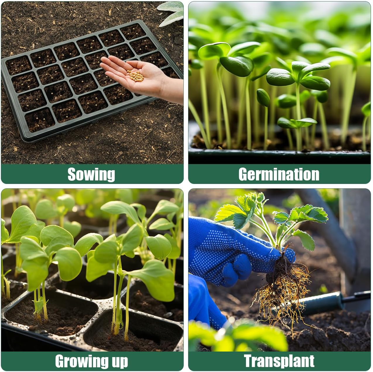 Seed Starter Tray with Dome-5 Sets 24XL Cell Seedling Trays(Total 120 Cells), Plant Germination Tray with Humidity Vented Lid and Base, Mini Propagator Plant Greenhouse for Seed Growing