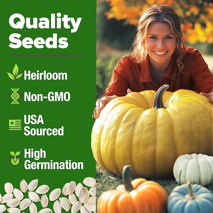 HOME GROWN 𝗨𝗦𝗔 𝗣𝗥𝗘𝗠𝗜𝗨𝗠 5 Pumpkin Seeds Mix - 40 Seeds 𝗡𝗢𝗡-𝗚𝗠𝗢 Heirloom Pumpkin for Planting Ideal Garden for Unique Varieties Yellow Paris and Casper, Culinary and Decorative Use