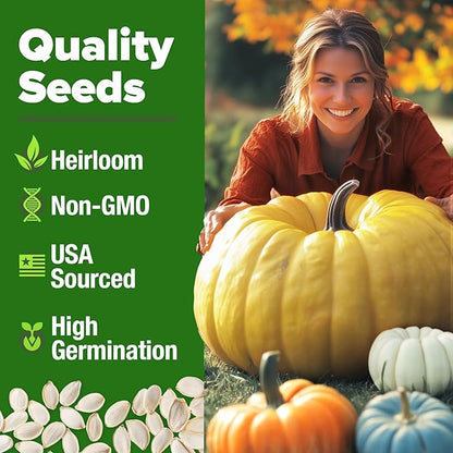 HOME GROWN 𝗨𝗦𝗔 𝗣𝗥𝗘𝗠𝗜𝗨𝗠 5 Pumpkin Seeds Mix - 40 Seeds 𝗡𝗢𝗡-𝗚𝗠𝗢 Heirloom Pumpkin for Planting Ideal Garden for Unique Varieties Yellow Paris and Casper, Culinary and Decorative Use