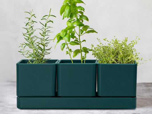 D'vine Dev Herb Garden Planter Set, Plastic Plant Pots with Drainage and Saucer, Indoor Succulent Cactus Vegetable Pot for Windowsill, Garden Balcony, Green, Set of 1, 76-V-C-1