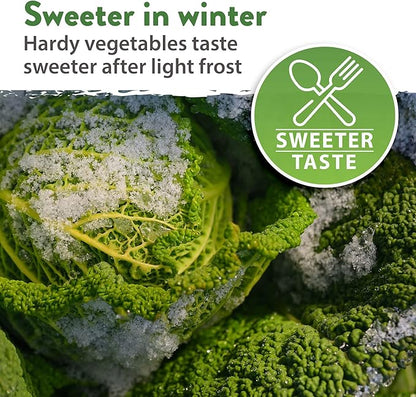 HOME GROWN 12 Winter Vegetable Seeds 𝗡𝗢𝗡-𝗚𝗠𝗢 Heirloom,Fall & Winter Vegetable Seeds for Planting Home Garden: Bean, Beet, Broccoli, Cabbage, Carrot, Cauliflower, Kale,Parsnip,Squash,Chard & More