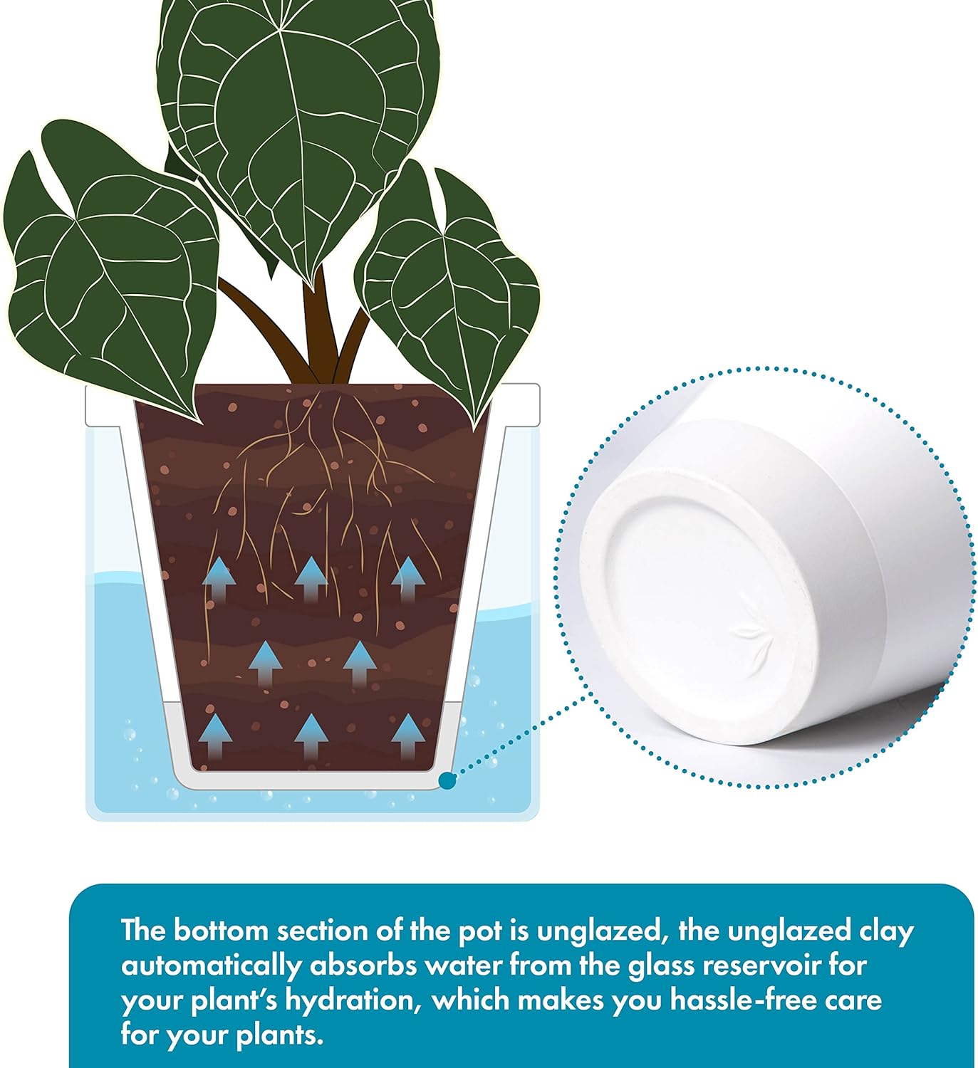D'vine Dev 6 Inch Design Self Watering Planter for Indoor Plants, White Terracotta Pots with Cylinder Glass Cup, 37-X-B-2