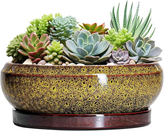 Succulent Pots Large - 13 Inch Ceramic Bonsai Pot with Drainage Hole and Tray, Round Succulent Planters, Shallow Plant Pots Indoor, Bowl Planter Outdoor, Garden Decor, Gardening Gift, Yellow