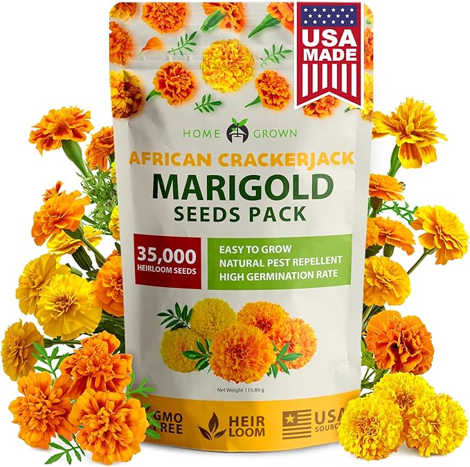 HOME GROWN Crackerjack Marigold Seeds | 4 oz / 35,000 Flower Seeds Planting Outdoor | Large Bulk Pack | 𝗡𝗢𝗡-𝗚𝗠𝗢 𝗨𝗦𝗔-𝗦𝗢𝗨𝗥𝗖𝗘𝗗, High Germination, Wildflower Seed | Companion Planting