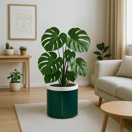 D'vine Dev 10 Inch Design Self Watering Planter for Indoor Plants, White Terracotta Pot with Teal Cylinder Glass Cup, 37-X-D-5