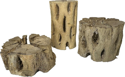 3 Natural Cholla Wood Air Plant Display Holders Tiered 1, 2 & 3 inch Individually Unique Round Decorative Stands