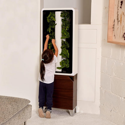 Just Vertical EVE Indoor Hydroponic Garden | Modern Furniture-Style Vertical Planter | Grow 12 Fresh Herbs & Vegetables Year-Round | Self-Watering, Energy-Efficient LED, Compact Design