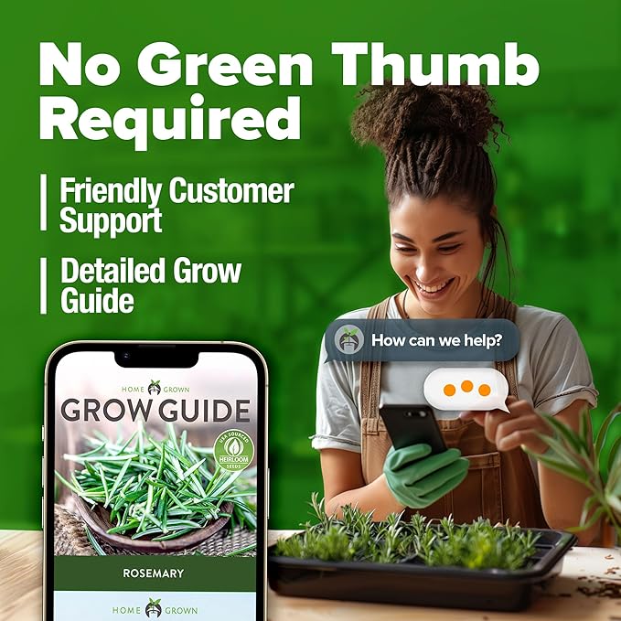 HOME GROWN 𝗨𝗦𝗔 𝗣𝗥𝗘𝗠𝗜𝗨𝗠 Rosemary Seeds Pack - 150 High Germinating 𝗡𝗢𝗡-𝗚𝗠𝗢 Heirloom Herb Seeds for Planting in Indoor or Outdoor Herb Gardens (Salvia rosmarinus)