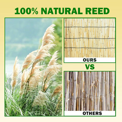 2 Pcs Jollybower Natural Reed Fencing Rolls, Eco-Friendly Reed Fence Curtain, 4Ft High x 13Ft Long Reeds Screen, Decorative Fence for Garden Privacy, Balcony and Window
