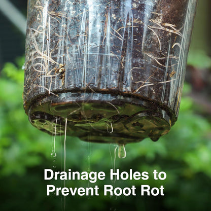 Bonviee 30 Packs 6.7/5/4 Inch Clear Nursery Pots for Plants, Plastic Seedling Pots with Drainage Holes, Planters for Indoor Plants and Transparent Seed Starter Pots with 10 Plant Labels