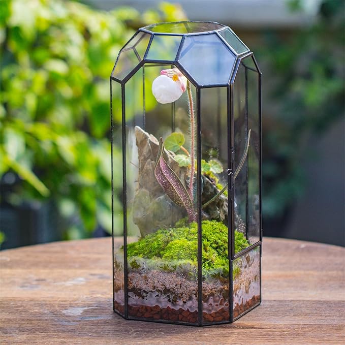 NCYP Glass Geometric Plant Terrarium with Door for Succulent Plants, Cacti - 5.5"x5.5"x12.8" - Indoor Vintage Tall Octagon Planter, Home Garden Office Tabletop Decoration (Terrarium Only)