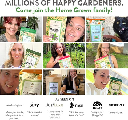 HOME GROWN 12 Winter Vegetable Seeds 𝗡𝗢𝗡-𝗚𝗠𝗢 Heirloom,Fall & Winter Vegetable Seeds for Planting Home Garden: Bean, Beet, Broccoli, Cabbage, Carrot, Cauliflower, Kale,Parsnip,Squash,Chard & More