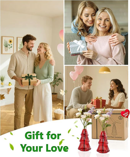 Nacome Christmas Tree Propagation Stations: 2PCS Plant Terrarium Glass Vases for Home Office Decor, for Plant Lovers Women Mom (Red)