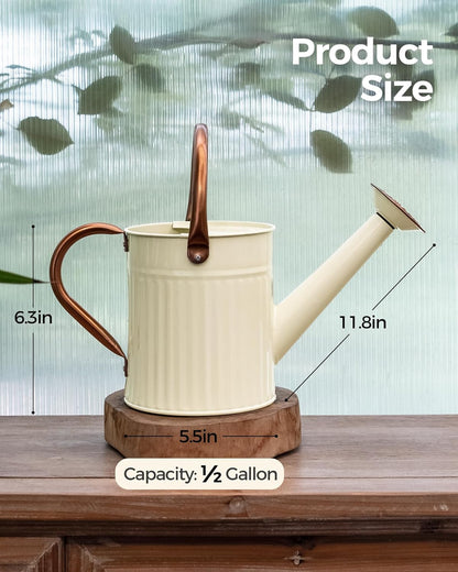 Bamworld Watering Can for Indoor Outdoor Plant Metal Watering Can with Removable Spout Embossd Design Plant Watering Devices Stainless Steel 1/2 Gallon Watering Cans Perfect Home & Garden Décor Creamy