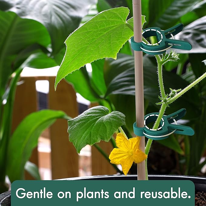 Gardzen 80 Pcs Garden Plant Clips, Plant Support Clips for Securing Stems, Flowers or Climbing Vines to Tomato Cages, Trellis