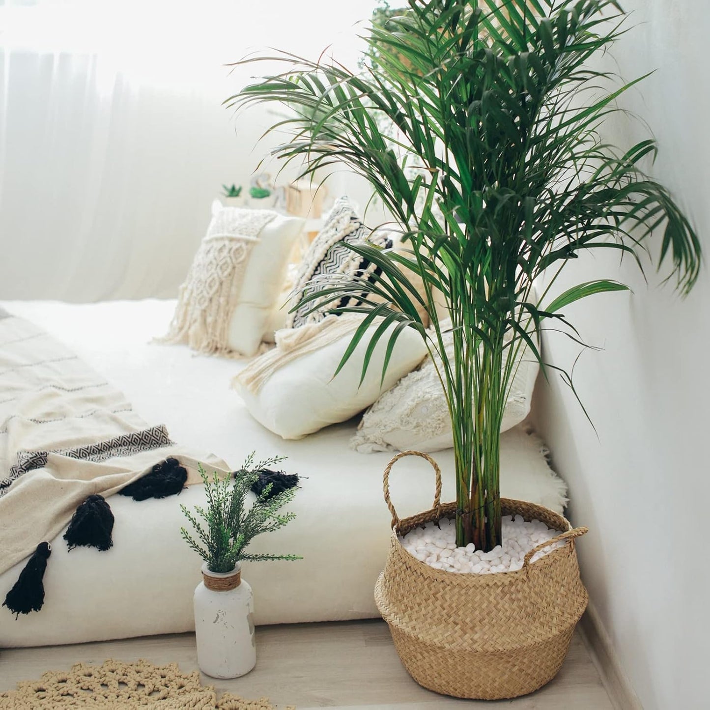 GASPRO 5lb Pebbles for Indoor Plants, Vases, Succulent, 3/8" Small Decorative White Rocks, High Polished