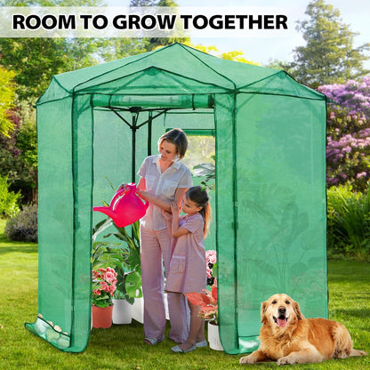 EAGLE PEAK 6.6x6.6 ft Hexagon Pop up Greenhouse, Portable Walk-in Grow Tent for Seed Starting, Garden Plants, Indoor Outdoor Green House, All-Weather Plant Shelter, PE Cover, Green/Clear