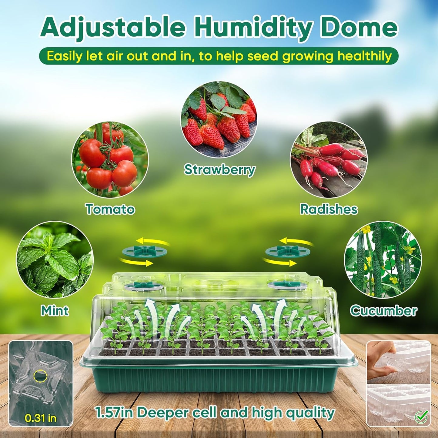 BlumWay Seed Starter Tray with Grow Light,4 Pack 160 Cells Seedling Tray with Humidity Dome/Indoor Grow Kit for Deep-Rooted Seedlings,Adjustable/Timed Light Plant Starter Set