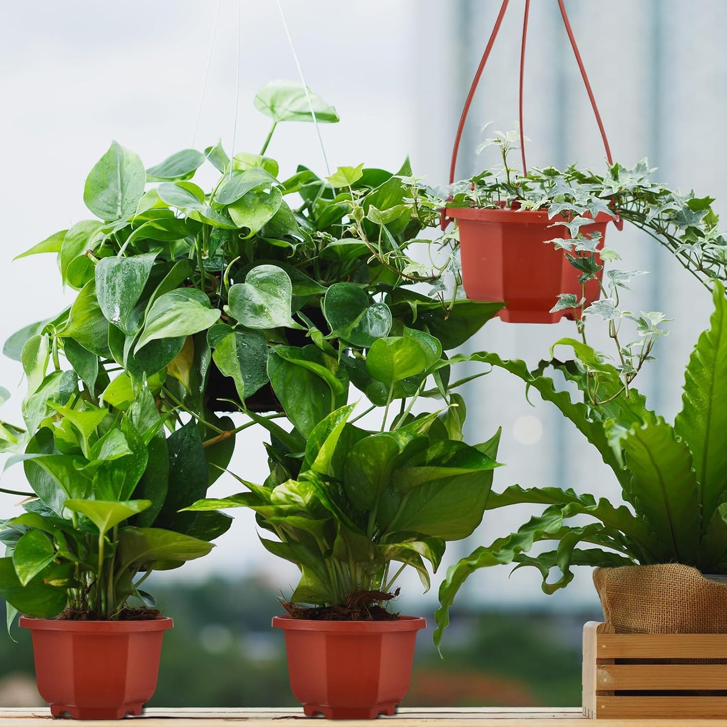 Roshtia 24 Pcs Hanging Plastic Planter Pot with Hook Flower Pots Baskets Hanging Nursery Planter Holder for Outdoor Indoor Plant Garden(Brown,3.7 Inch)