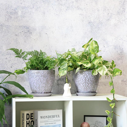 6 Inch Retro Ceramic Planter Set of 2 with Drainage Hole and Saucer for Plants, Indoor-Outdoor Garden Pots for Succulents, Orchids, and Flowers (Fits Inner Pots Up to 5 Inches, Light Blue)