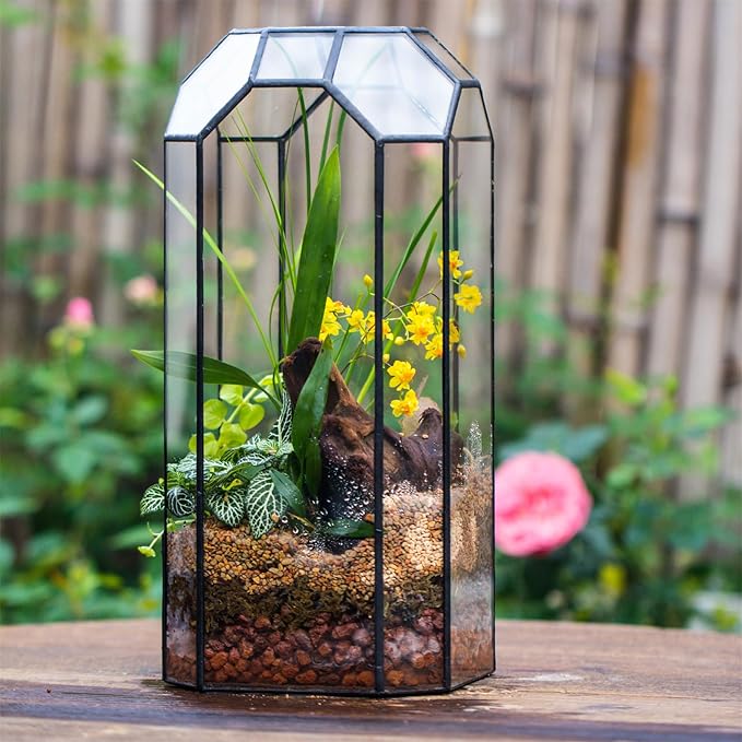 NCYP Open Glass Geometric Terrarium for Plant, Succulent, Cacti - 5.5"x5.5"x12.8" Indoor Tall Octagon Glass Planter, Home Garden Office Vintage Decoration, Micro Landscape (Terrarium Only)