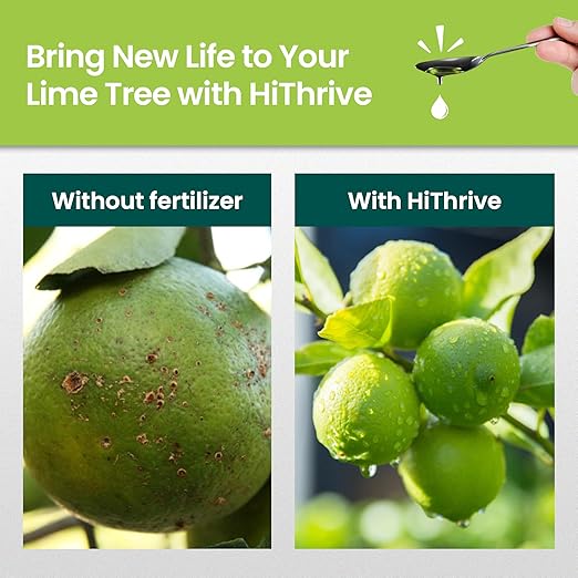 32oz Citrus Tree Fertilizer for Lime Trees Live Plants - Makes 32 Gallons of Liquid Lime Tree Fertilizer - Ideal Citrus Plant Food, Promotes Healthy Trees and Zesty Fruits for All Limes