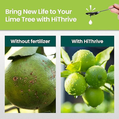 32oz Citrus Tree Fertilizer for Lime Trees Live Plants - Makes 32 Gallons of Liquid Lime Tree Fertilizer - Ideal Citrus Plant Food, Promotes Healthy Trees and Zesty Fruits for All Limes