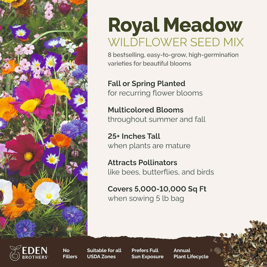 Eden Brothers Royal Meadow Flower Mixed Seeds for Planting, 5 lb, 2,400,000+ Seeds with Morning Glory, African Daisy | Attracts Pollinators, Plant in Spring or Fall, Zones 3, 4, 5, 6, 7, 8, 9, 10