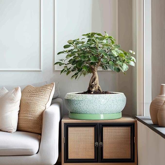 Bonsai Pots - 13 Inch Ceramic Succulent Pots for Indoor Outdoor, Large Shallow Planter with Drainage Hole and Saucer, Round Flower Succulent Planter, Patio Decor, Gifts for Women, Green