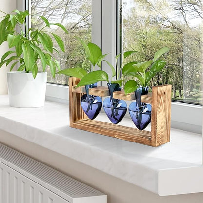 Plant Terrarium Propagation Stations Hydroponics Home Garden Decoration Gift for Women with Wooden Stand Heart Shaped Colored Glass Vase