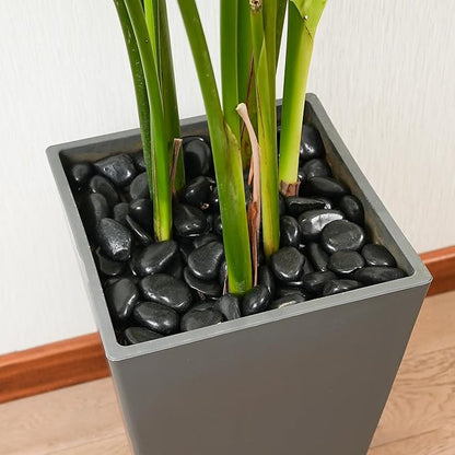 StoneCreek 24 LBS River Rocks(2 x 12 LBS Bags), Large Size, Decorative Garden Stones for Plant Landscaping, Polished Gravel Filler Pebbles for Home Decoration, Vases, Succulents(Black Pebbles)