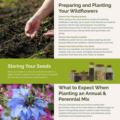 Eden Brothers Blue Ribbon Flower Mixed Seeds for Planting, 5 lb, 2,400,000+ Seeds with Blue Bell, Cornflower Blue, Chicory, Attracts Pollinators, Plant in Spring or Fall, Zones 3, 4, 5, 6, 7, 8, 9, 10