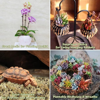 Halatool 4QT Premium Sphagnum Moss for Indoor Plants, Orchid Moss Potting Mix - Natural Sphagnum Moss for Succulents, Carnivorous(Sarracenia), Monstera, Terrarium Substrate & Reptile Habitats