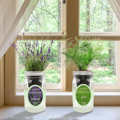 2-Pack Hydroponic Mason Jar Herb Garden Kit, Indoor Herb Garden Self-Watering Starter Kit (Lavender,Rosemary)