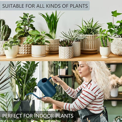Watering Can Indoor Plants, 35oz Small Stainless Steel Metal Watering Can Modern Decorative Watering Pot with Long Spout for Indoor House Plant Bonsai Garden Flowers (Dark Blue)