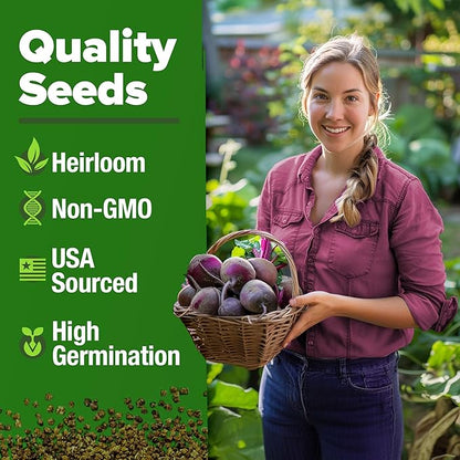 HOME GROWN 𝗨𝗦𝗔 𝗣𝗥𝗘𝗠𝗜𝗨𝗠 Detroit Dark Red Beet Seeds Pack - 500 Heirloom 𝗡𝗢𝗡-𝗚𝗠𝗢 Vegetable Seeds for Planting - Red Beet for Home Garden – High Germination(Beta vulgaris)