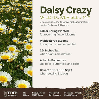 Eden Brothers Daisy Crazy Flower Mixed Seeds for Planting, 1 lb, 480,000+ Seeds with Creeping, Painted, Yellow Daisy | Attracts Pollinators, Plant in Spring or Fall, Zones 3, 4, 5, 6, 7, 8, 9, 10