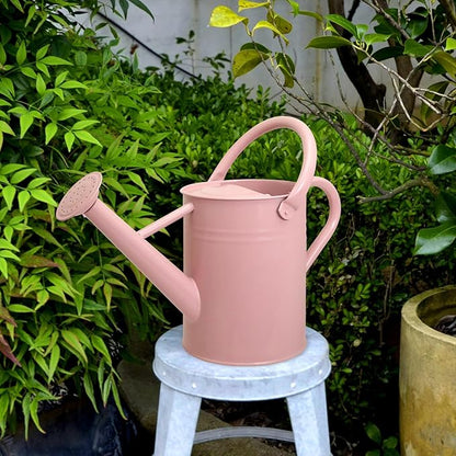 Metal Watering Can with Removable Spout, Galvanized Watering Can, Perfect for Indoor Use and for Outdoor Use (1 Gallaon, Pink)