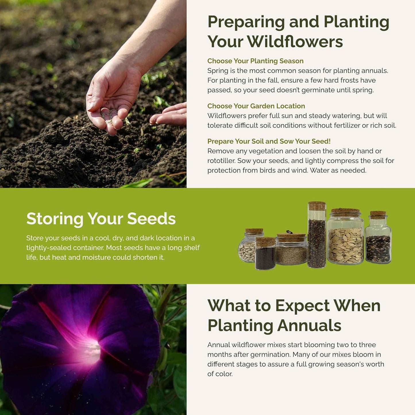 Eden Brothers Colorful Climbers Flower Mixed Seeds for Planting, 1/4 lb, 120,000+ Seeds with Morning Glory, Sweet Pea | Attracts Pollinators, Plant in Spring or Fall, Zones 3, 4, 5, 6, 7, 8, 9, 10