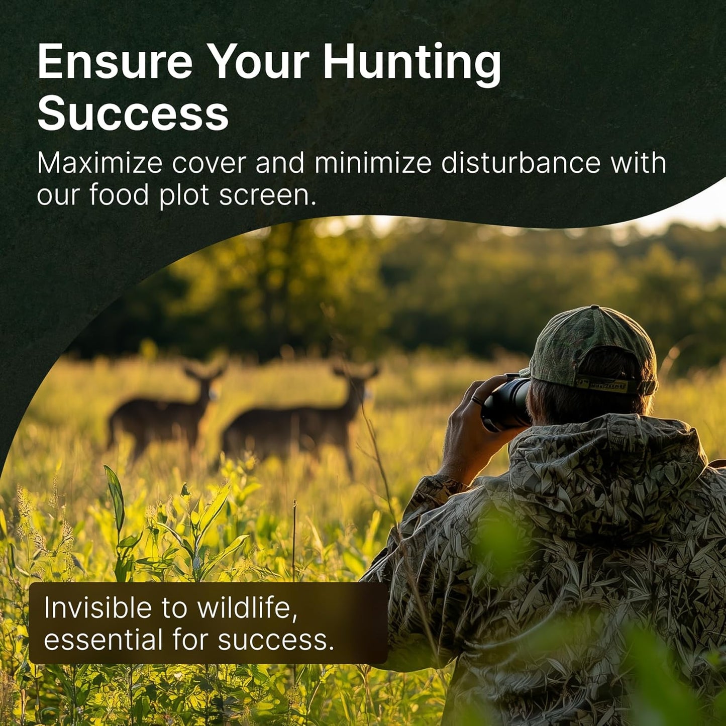 Screening Food Plot Seeds for Deer - Annual Mix - Egyptian Wheat, Sorghum (Grain/Sudangrass) - Spring, Summer & Fall Planting - 3 lbs