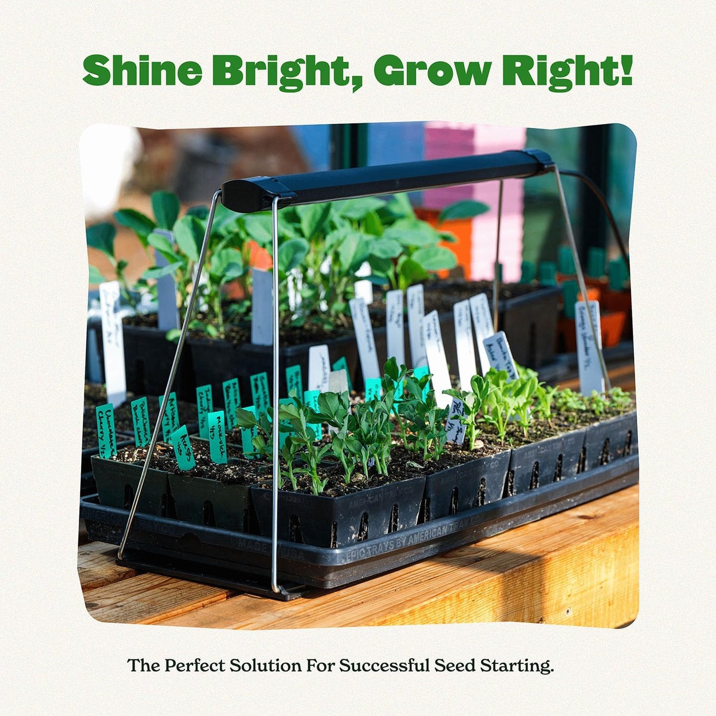 Epic Gardening Seed Starting Grow Light – Full-Spectrum LED with Adjustable Height for Indoor Seedlings | Energy-Efficient, Long-Lasting Light with Timer (Small)