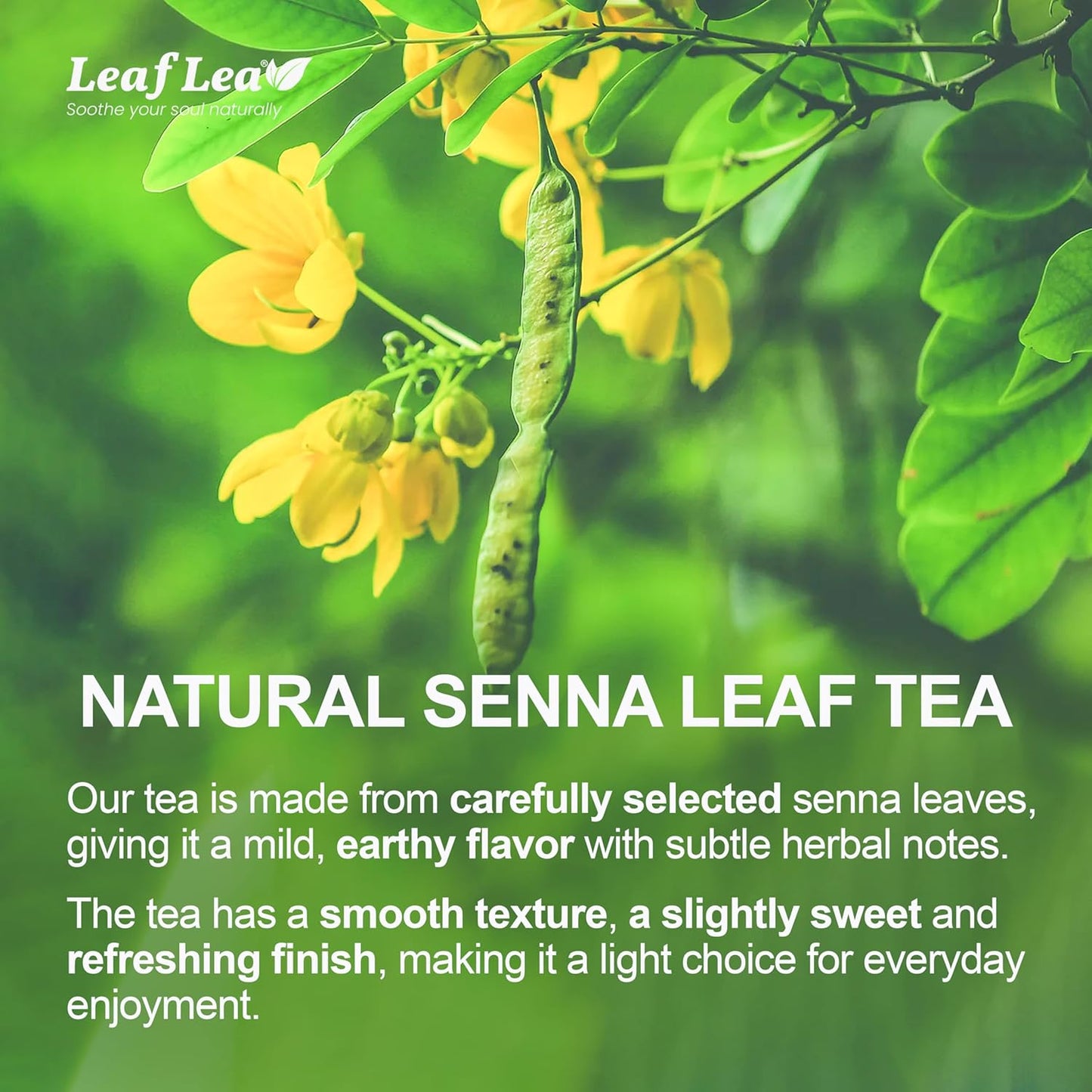 LeafLea 40 Senna Tea Bags – 100% Pure Senna Leaves, Herbal Laxative Tea for Gentle Constipation Relief, Caffeine-Free, Sugar-Free, Gluten-Free, Non-GMO, Vegan, Supports Digestive Health